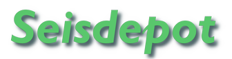 website logo